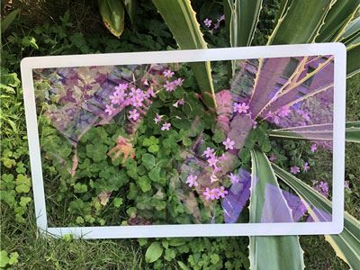 Anti-Reflective Glass