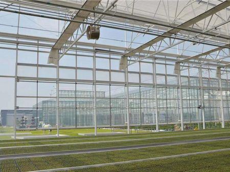 Greenhouse Glass