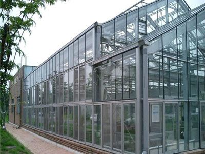 Greenhouse Glass