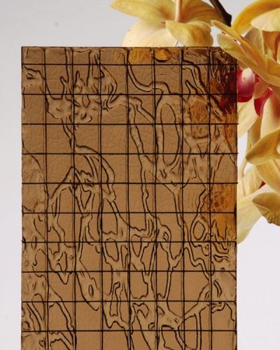 Bronze Wired Map