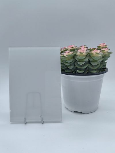 Painted Glass