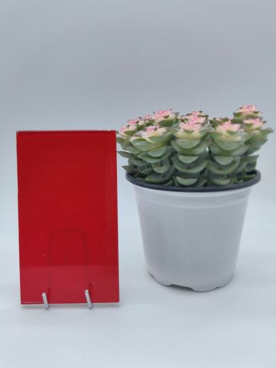 Painted Glass