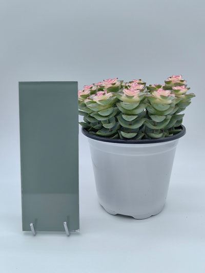 Lacquered Glass