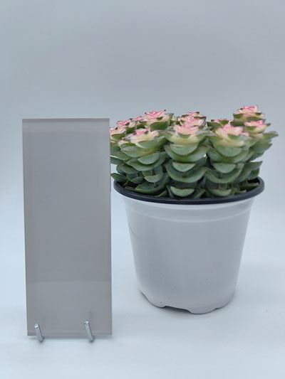 Lacquered Glass