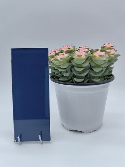 Lacquered Glass