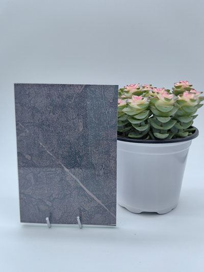 Silk Printed Glass