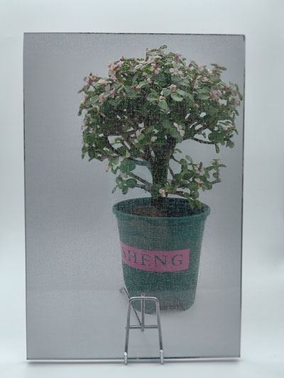 Digital Printed Glass