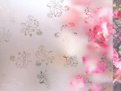 Acid Etched Patterned Glass