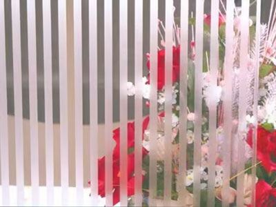 Acid Etched Patterned Glass