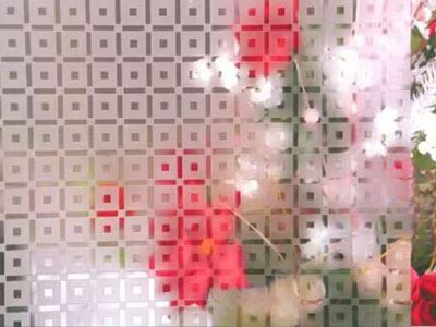 Acid Etched Patterned Glass
