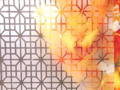 Acid Etched Patterned Glass