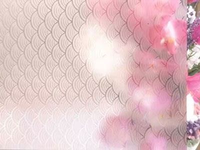 Acid Etched Patterned Glass